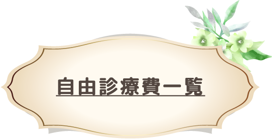 自由診療費一覧